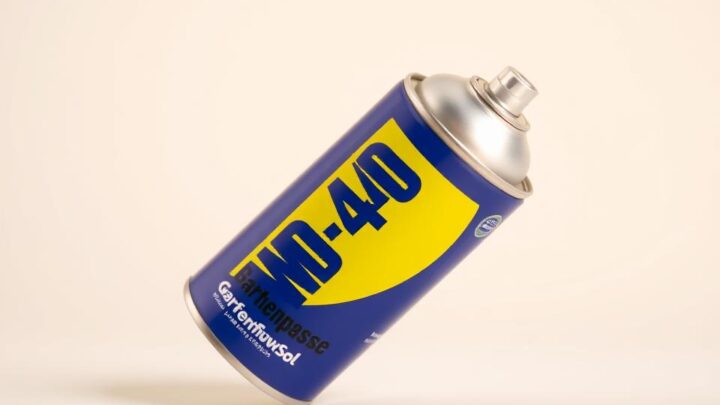Nützliche Anwendungen für WD-40 im Garten – Praxistipps