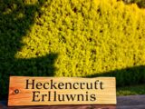 Hecke schneiden wann erlaubt – Zeiträume & Regelungen